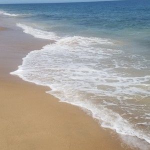 Meet your Posher, Teri